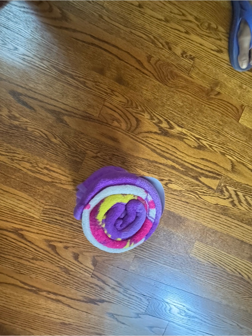 Hatchimals throw